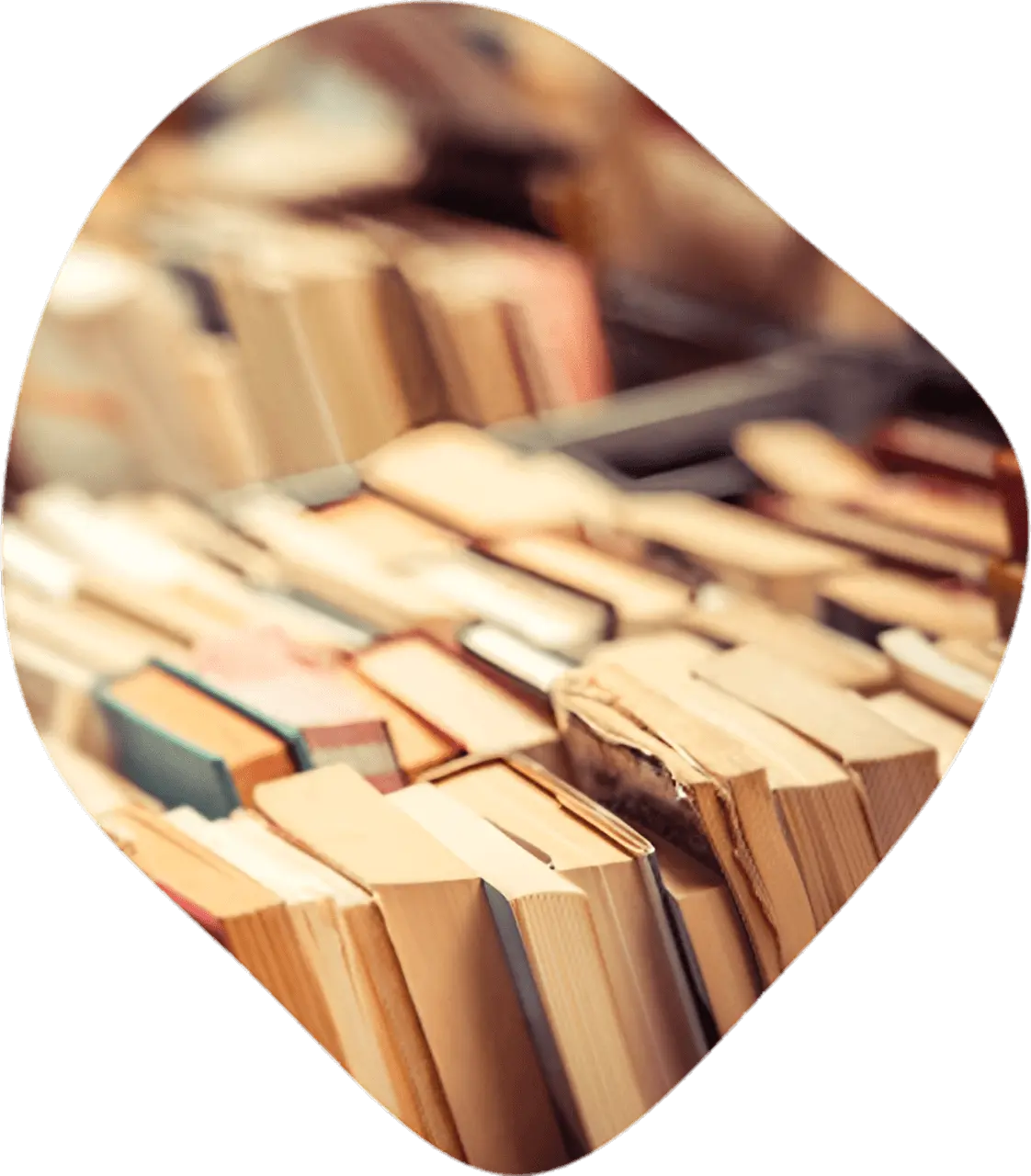 Our Entire Book Writing Team | Book 2 Publish